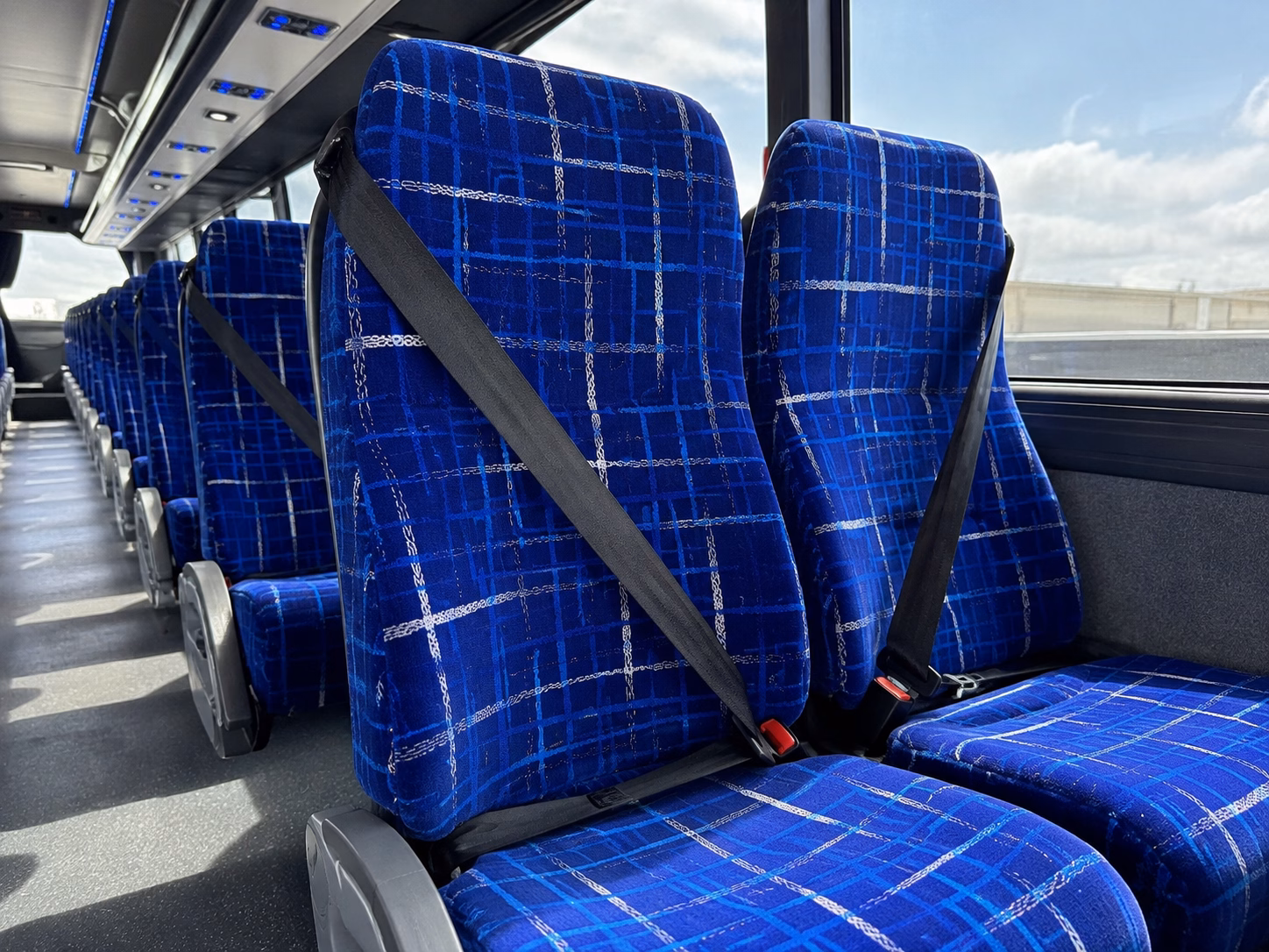 bellevue charter bus